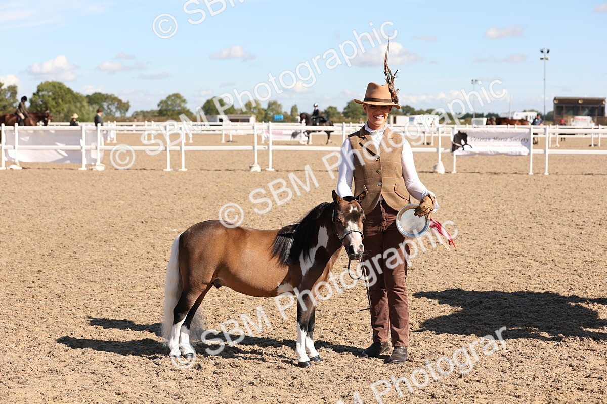 SBM_12962 - Class 206 - IH Non Show Type Pony
