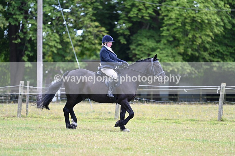WJ7_9059 - Class 8 Ridden Veterans