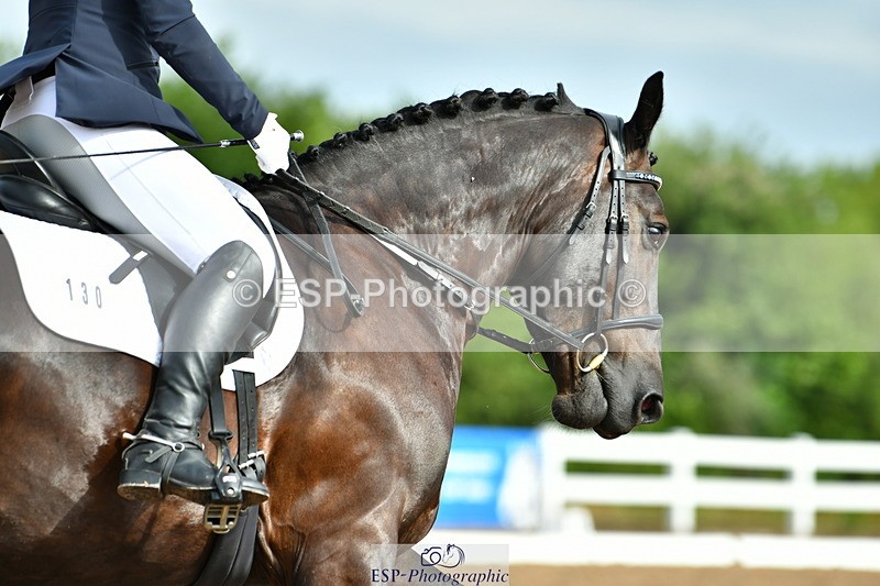 230708A-091908-02051 - Prelim 13