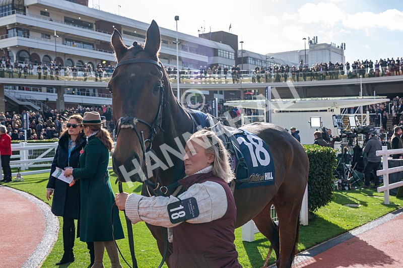 241025-Race 1-The Expensive One-7915 - Race 1