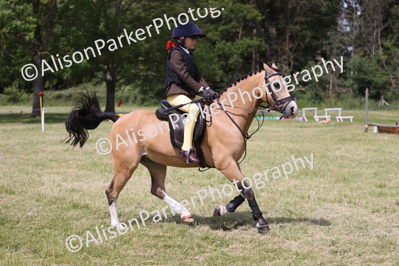 20260614-1890 - Class 21 - Novice Working Hunter Pony