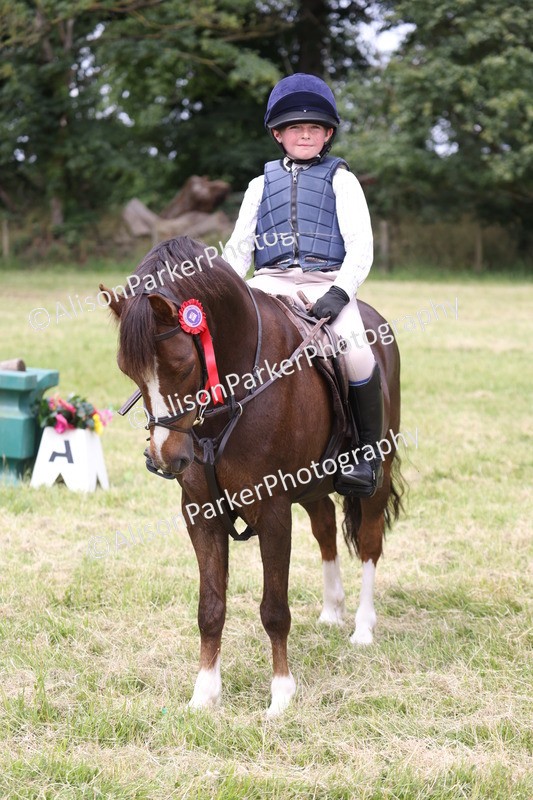 20260614-3208 - Class 22 - Open Working Hunter