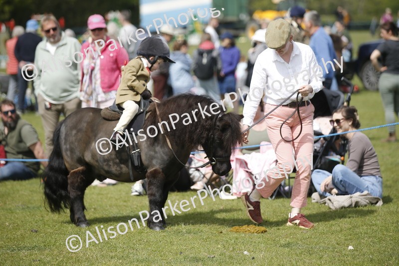 20260426-1836 - Class 7 - Pony Judge Would Most Like To Take Home