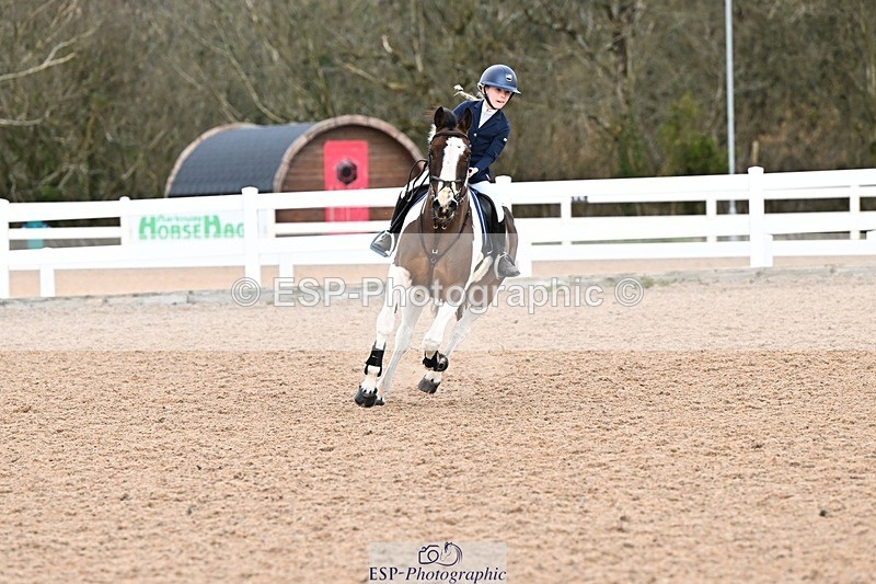 250308-144246-02383 - Cls 30 Stepping Stones