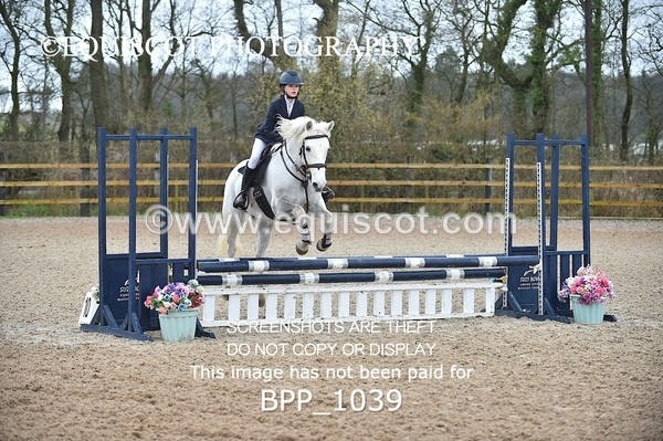 BPP_1039 - CLASS 1 Club/ Unaffiliated 60cms Open