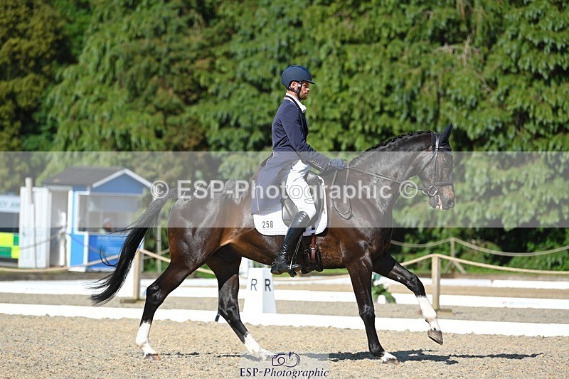 230526-165514-07442 - 258-DHI_KING_NELSON-Barnie_Brotherton-WEDTrotUp+DR