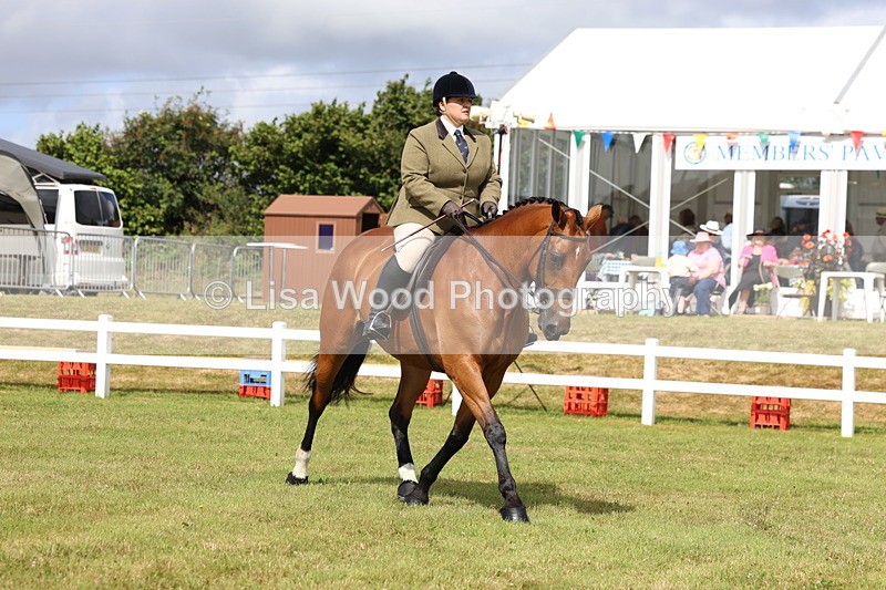 3E7A9417 - Class 4: Rising Star M/H Hunter