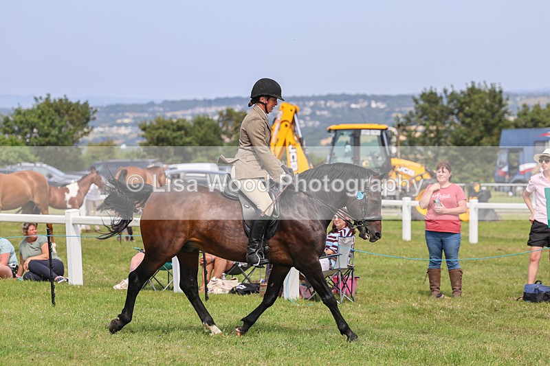 IMG_3730 - M & M Ridden Championship