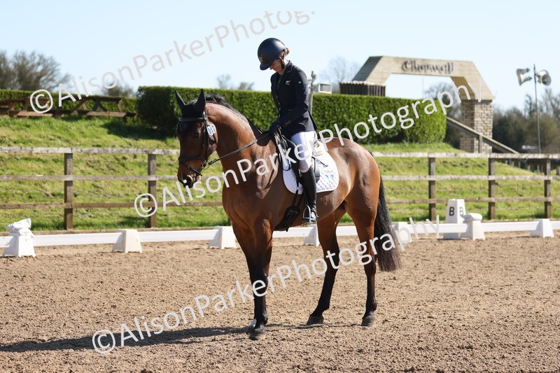 20260318-0460 - Class 5 - Novice 2