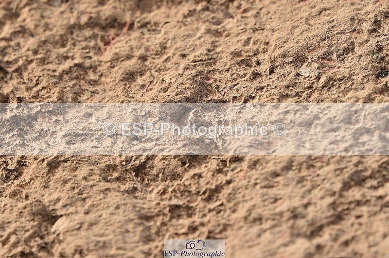 231015A-150312-08870 - Cls 26 1.05m Grand Prix