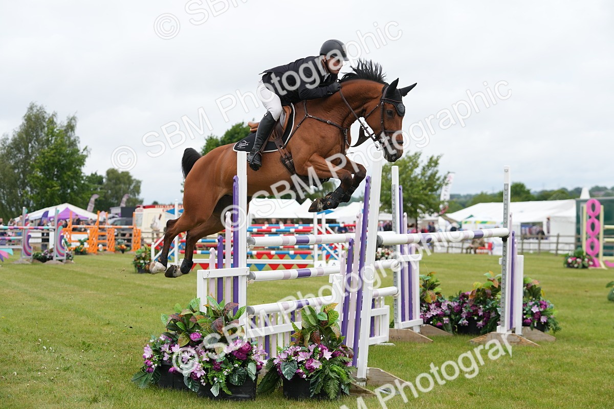 SBM_03101 - Class 201 - British Horse Feeds Speedi Beet Horse of the Year Show Grade  C