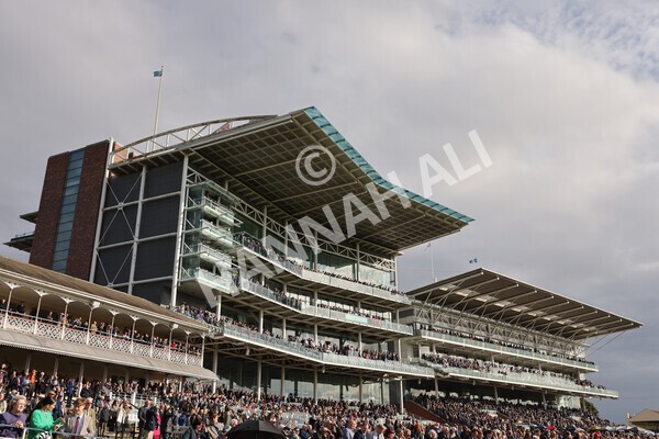 yr07102022r3-24 - Race 3 3.15pm British EBF £100,000 2yo Series Final (Colts and Geldings)