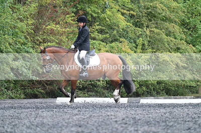 WJ7_6133 - Time 11:38 to 12:03