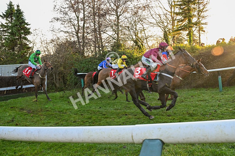 121225-Race 6-Mister Coffey-6863 - Race 6