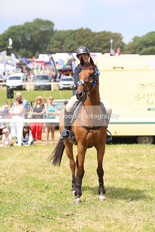3E7A3475 - Class 10: Senior Foxhunter/1.20 open