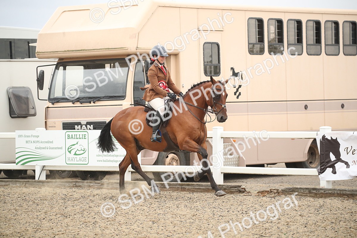 SBM_18425 - Class 509B - Working Veteran - 80cm (20+)