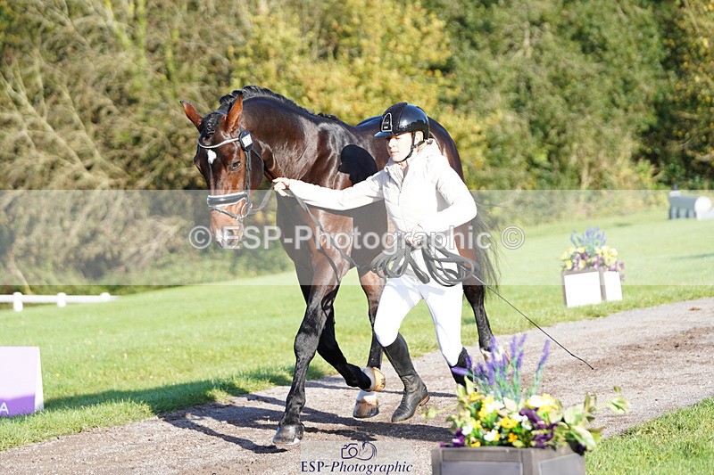 241026-101710-11747 - 012-Mollie.Summerland-SKITTEL.D'EKWI