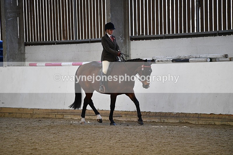 WJ5_5943 - Class 9 Ridden Veteran