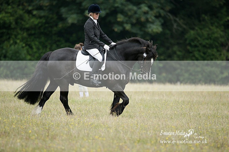 BVRC 030721 49 - Bourne Valley Riding Club Dressage 03/07/21