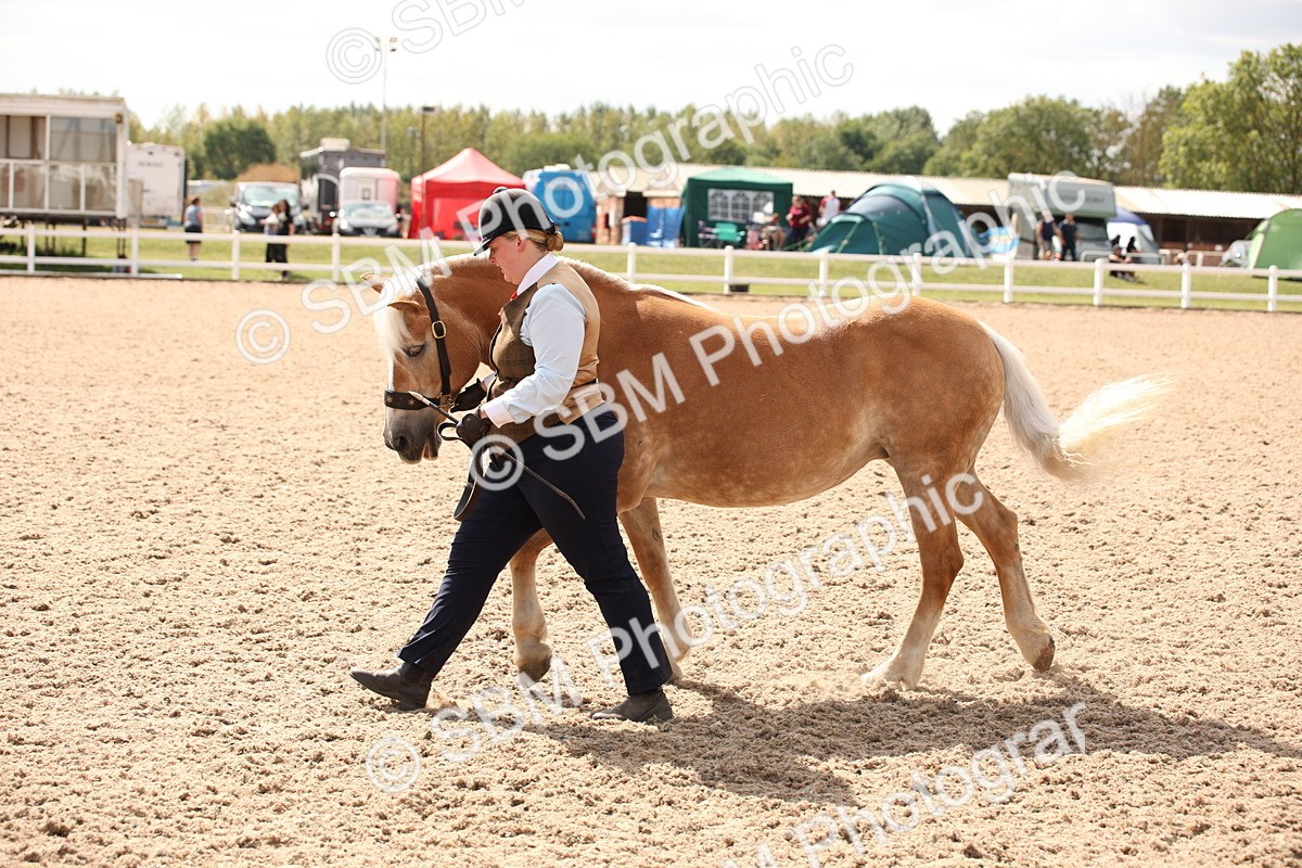 SBM_04605 - Class 20 IH Veteran