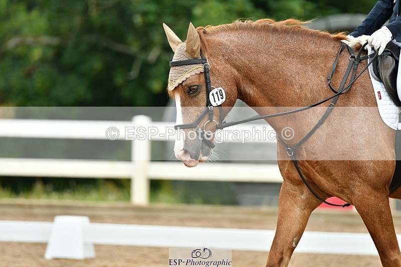 230701A-101759-04717 - Cls 4 Novice 23