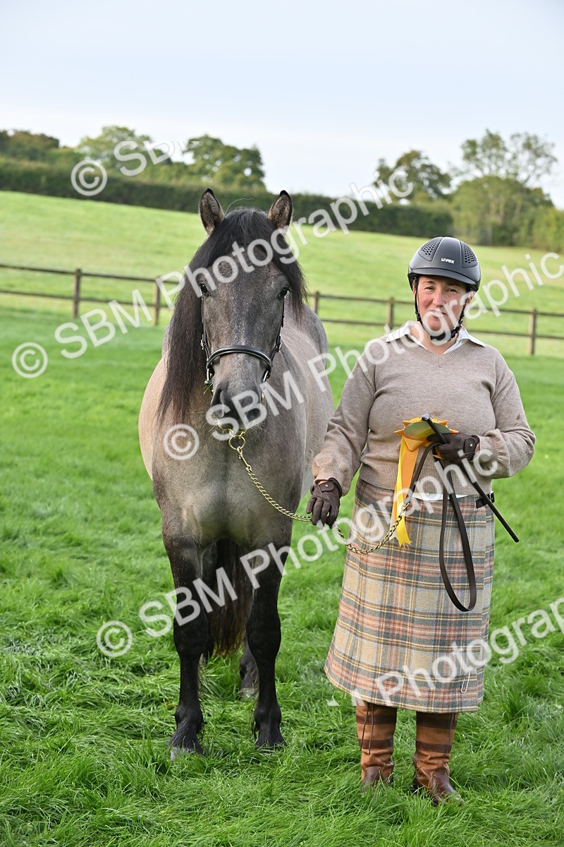 SBM_55382 - S44 - Youngstock In Hand