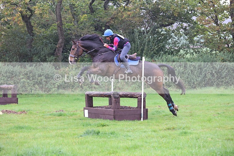 JPP_5393 - Class 4: 80cm: Crossed Logs