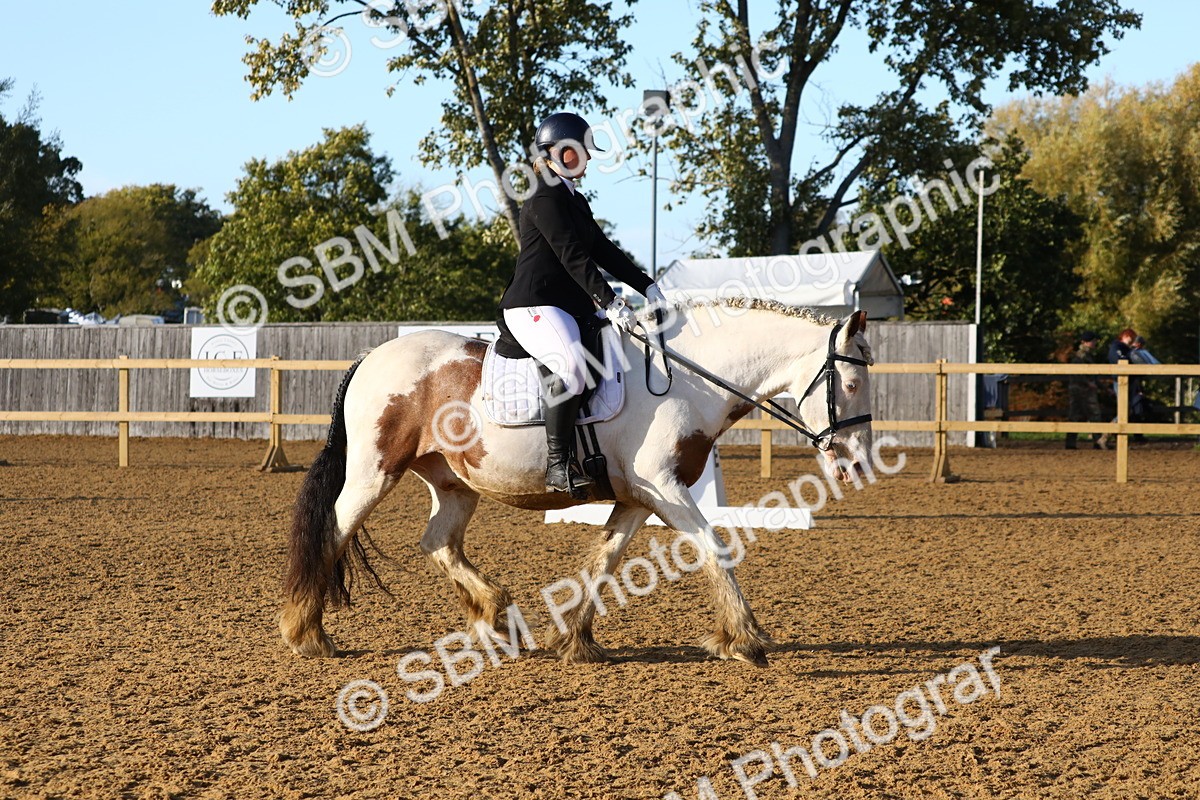 SBM_52716 - D23 - Junior Championship Prelim 1