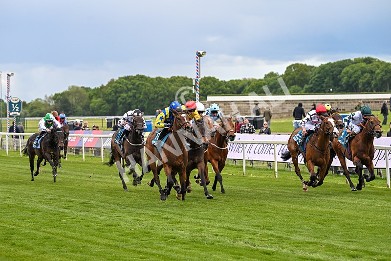 130526-Race 6-Startled-3424 - Race 6 4.40pm Conundrum HR Consulting Handicap