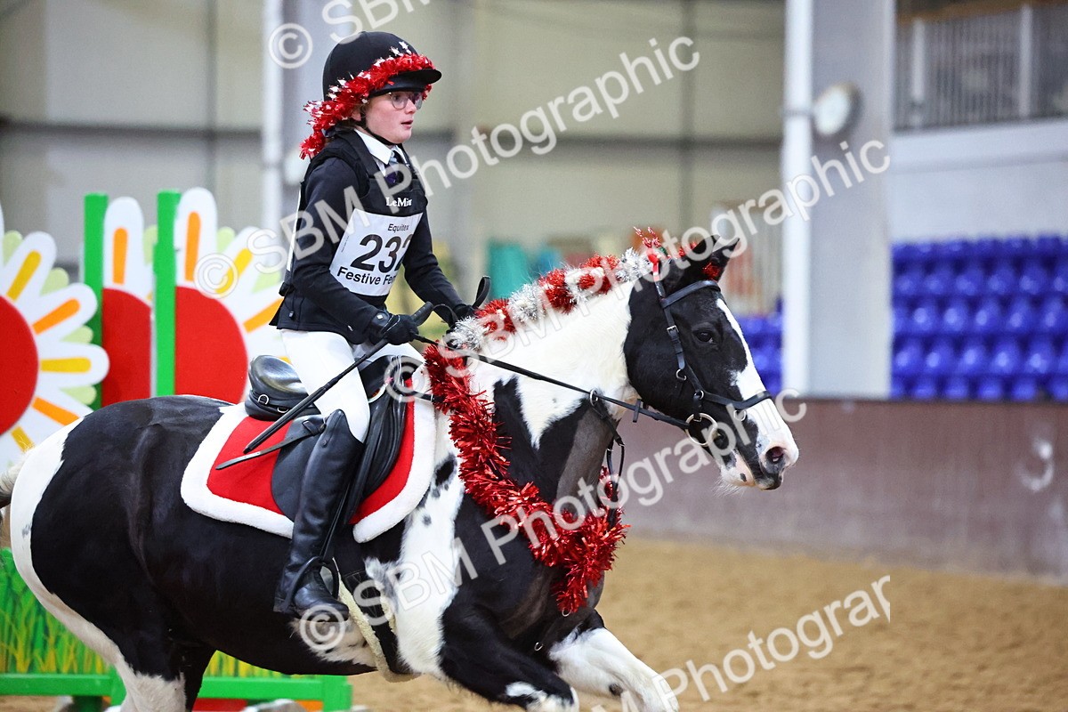 SBM_001902 - Class 4 - Festive Fences - 70cm