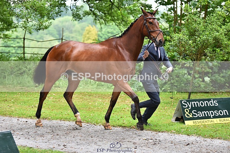 240522-163608-01039 - 268-TOM_DILLINGER-Hector_Payne