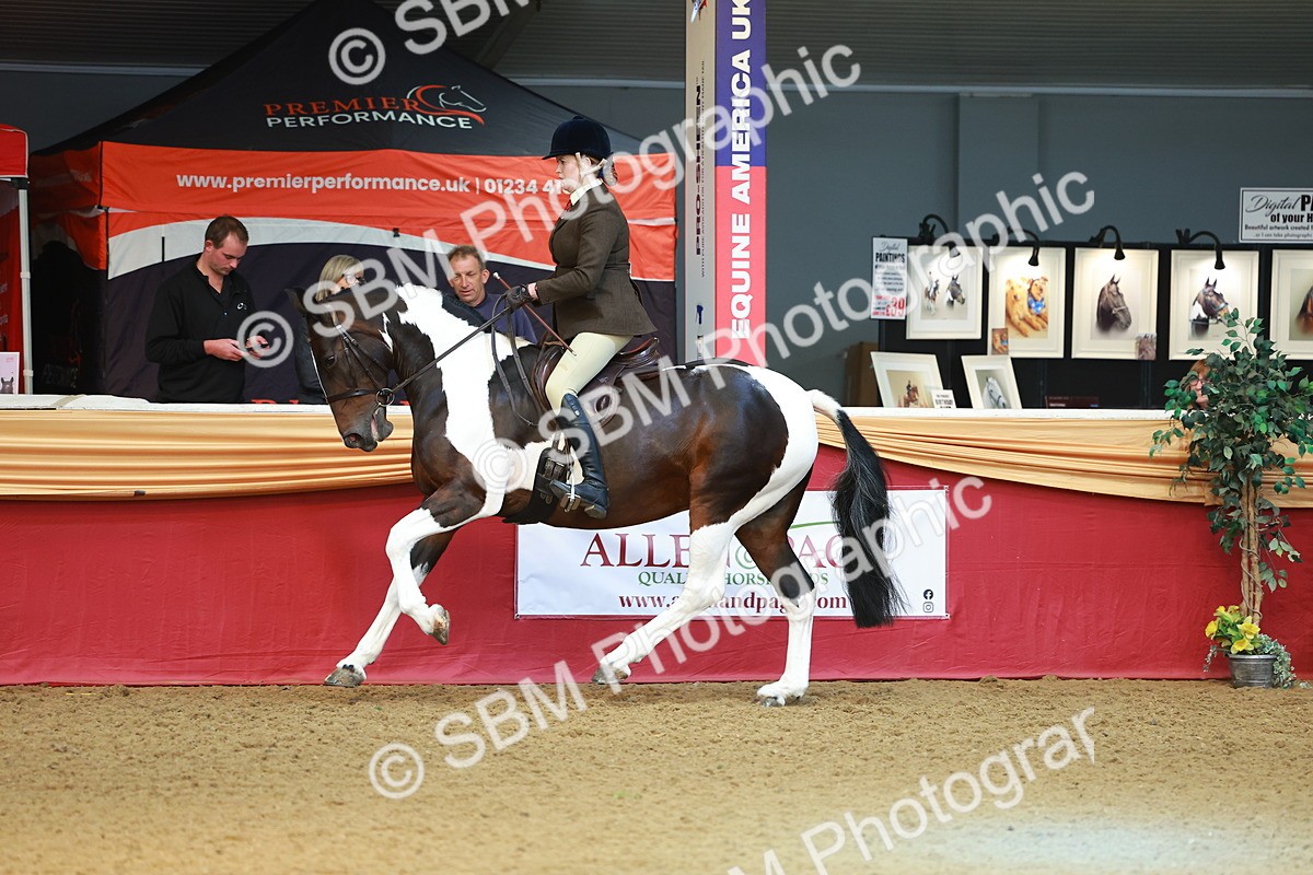 SBM_09770 - Class 102 - HOYS Veteran Qualifier - Ridden Veteran