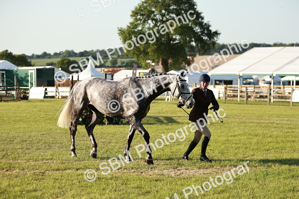 SBM_20514 - Class 117-119 - Sport Horse Working Hunter