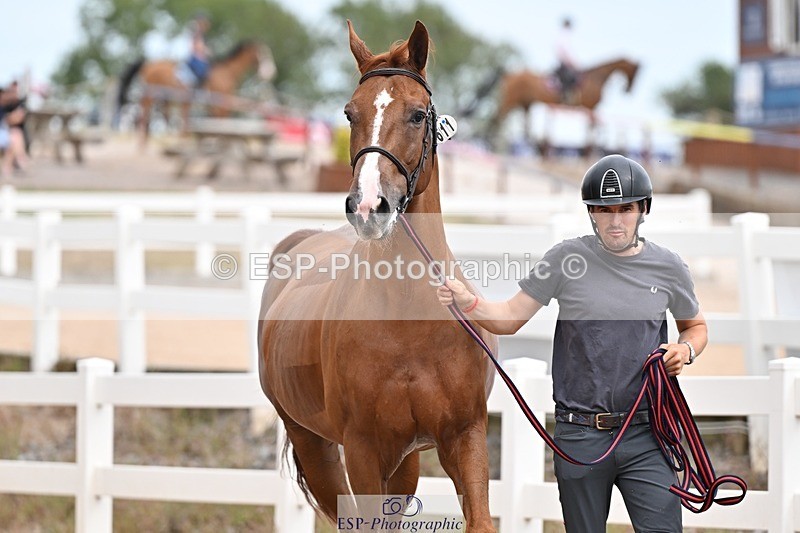 250716-162306-02607 - Trot Up 3.30 to 4.30