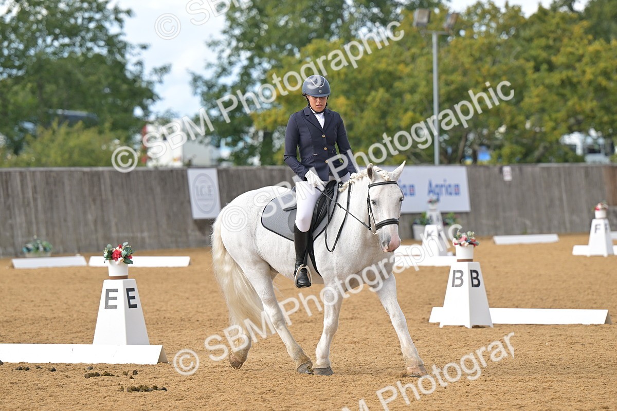 SBM_12863 - D3 - Small Tour Championship Intro 3