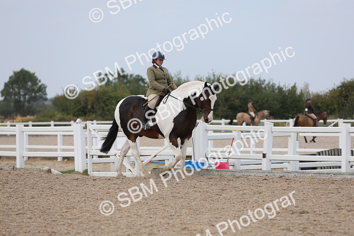 SBM_16850 - Class 314 Family Horse/Pony