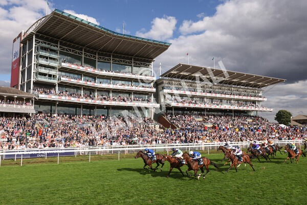 yr19082022r6-26 - Race 6 4.45 pm British Stallion Studs EBF Convivial Maiden Stakes