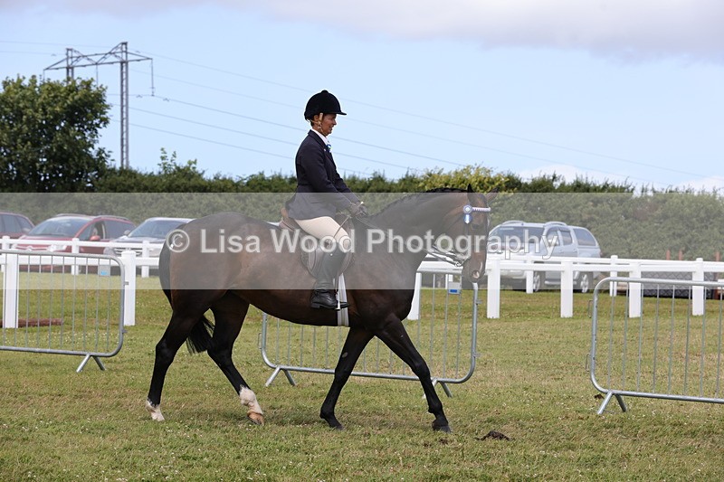 1X9A4293 - Class 34: Veteran Ridden