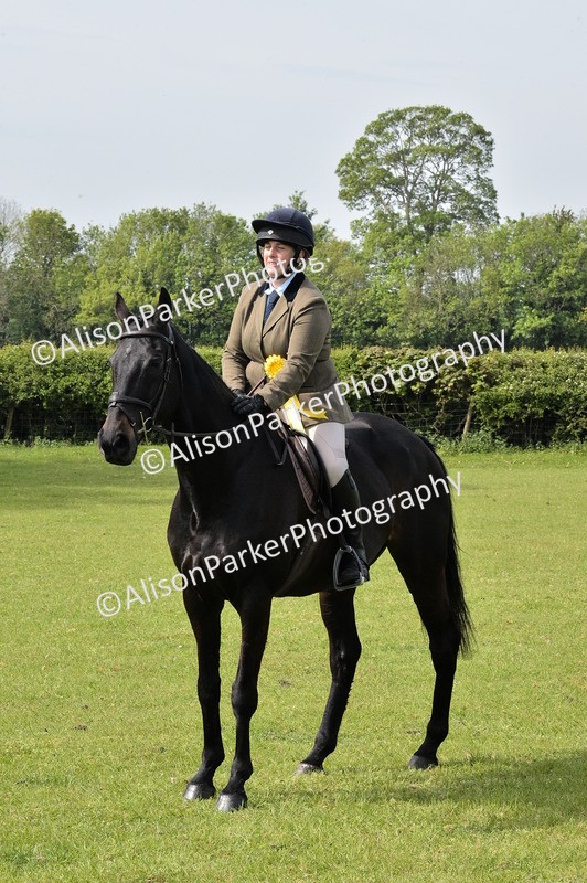 20260426-1176 - Class 19 - Retraining Of Racehorses