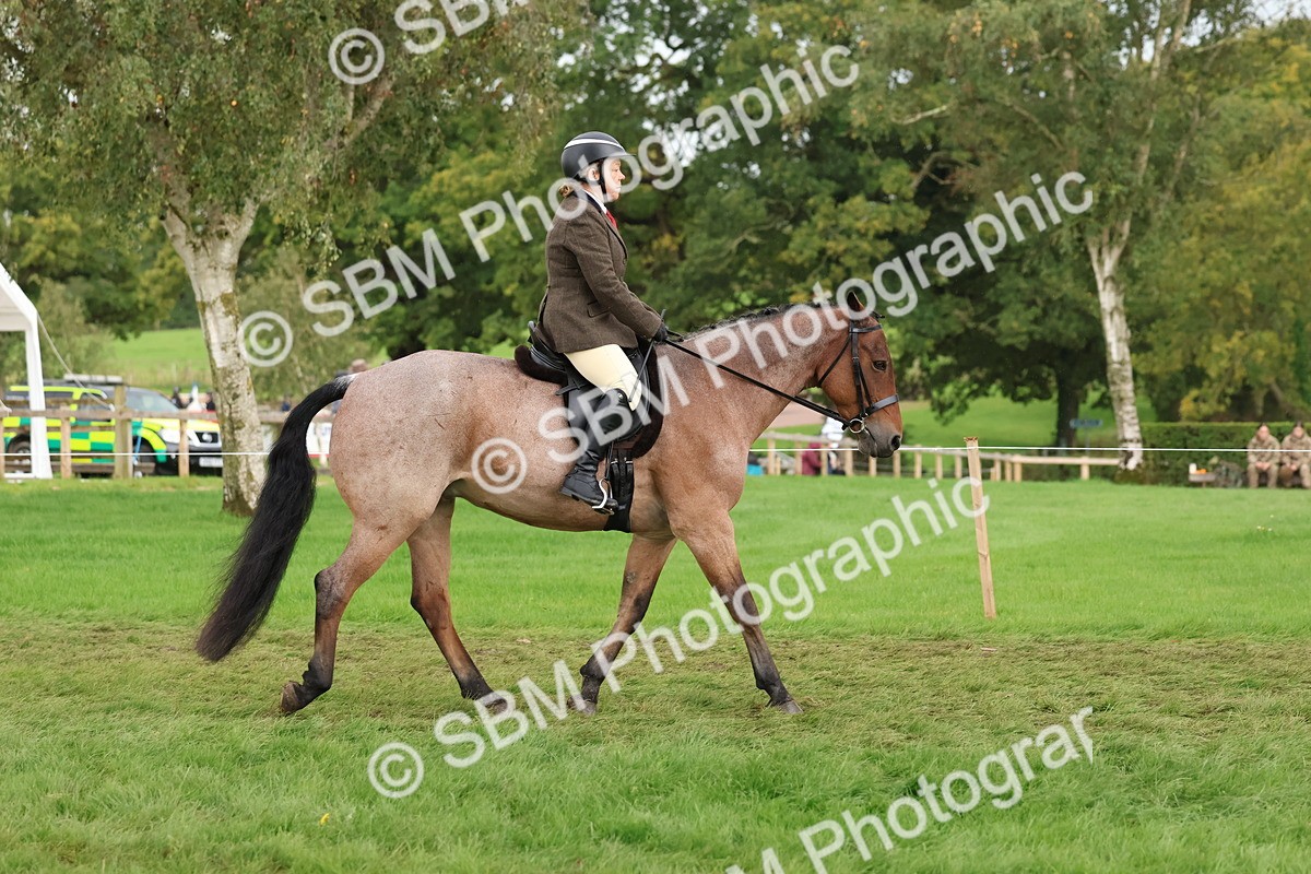 SBM_44946 - S27 - Young Veteran Ridden