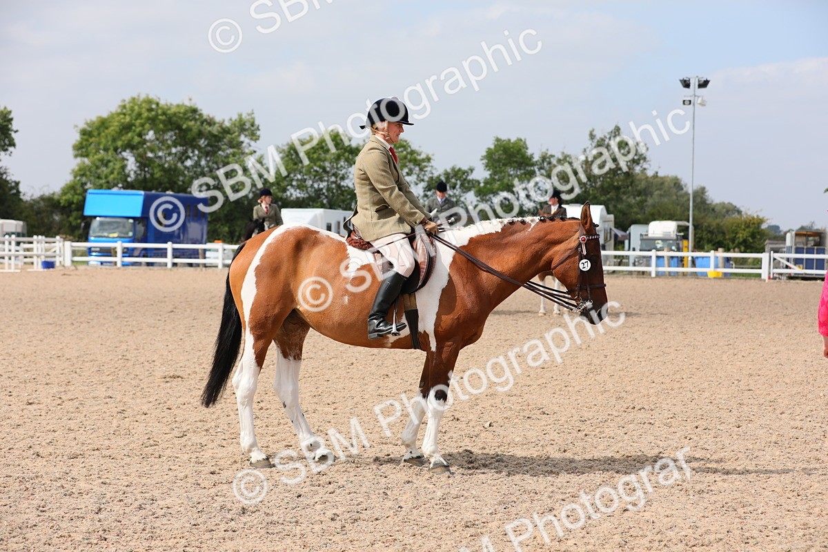 SBM_13415 - Class 308 Ridden Coloured Horse
