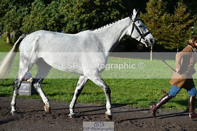 231022-095354-22095 - 630-ST.TROPEZ-Lizzie.Luxton-TrotUp+SJ