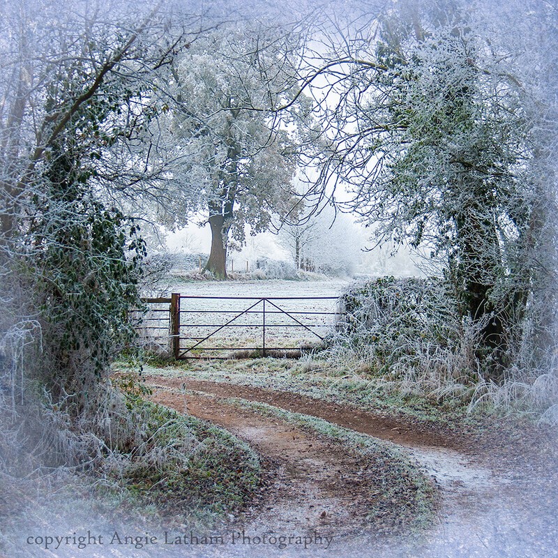  - Winter Season & Yule