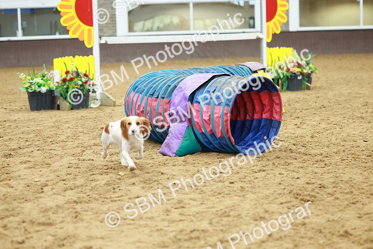 SBM_002530 - Class 3 - Horse & Hound (60cm)