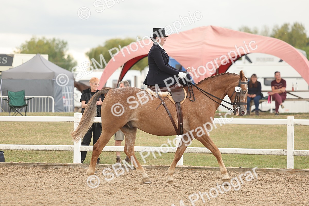 SBM_06315 - Class 23 - SSA - Classical