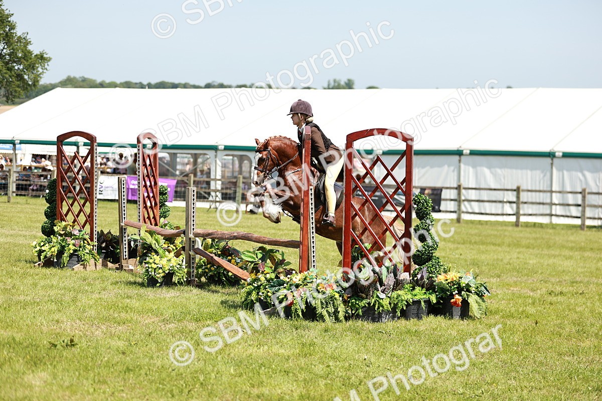 SBM_15501 - Class 108-109 - BSPS LIHS Open Gradle & Nursery Stakes