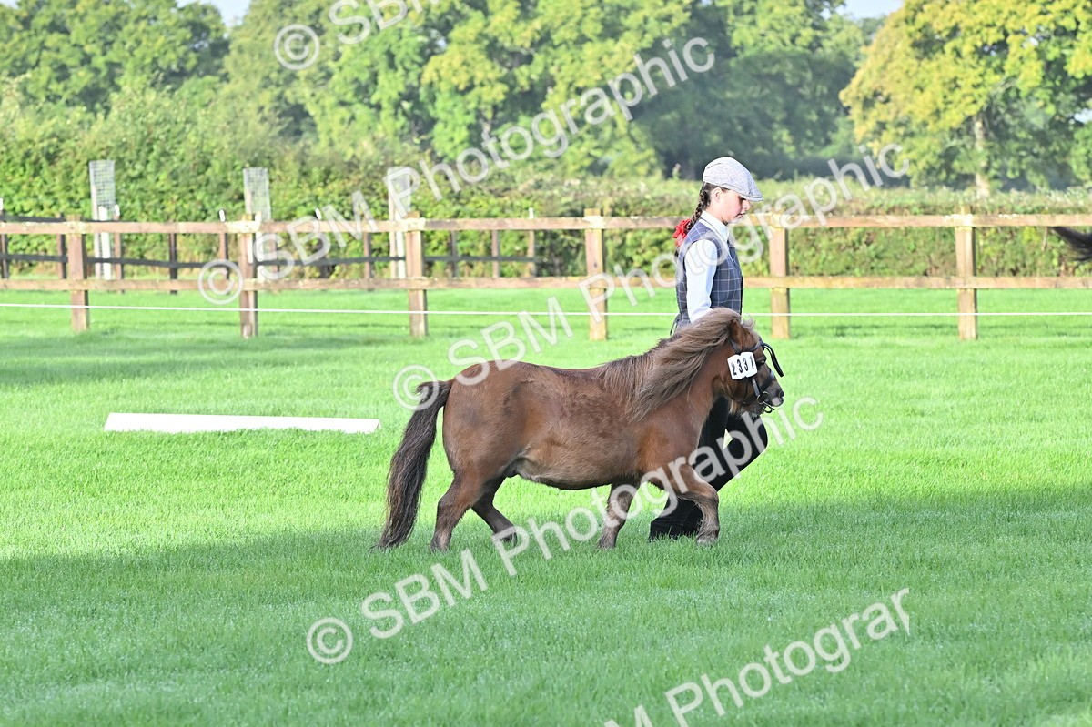SBM_32581 - S15 - Top Turnout In Hand