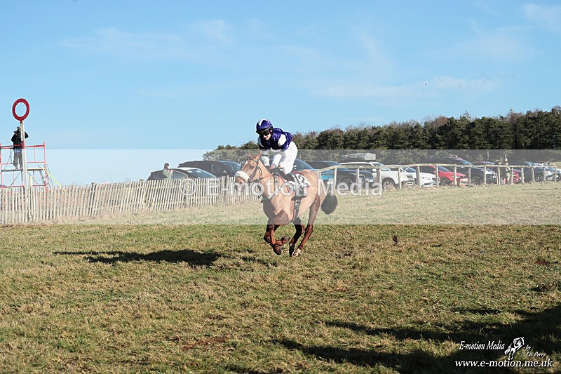 PR PtP 240126 410 - Pony Racing Horseheath 24/01/26