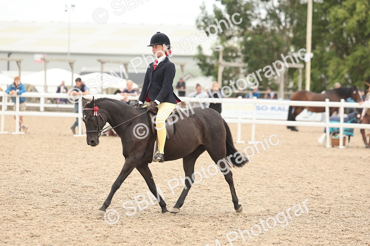 SBM_19139 - Class 316 - Best Pony-Rider Combination