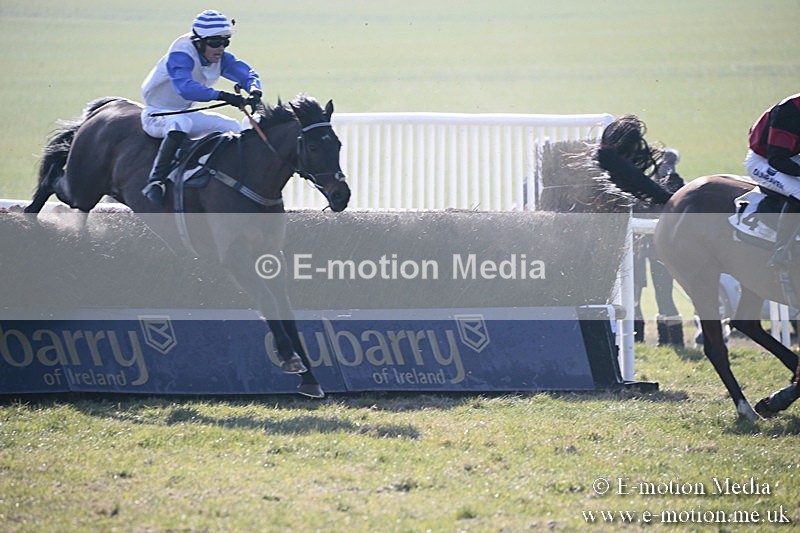 PtP 240218 48 - Vine & Craven Hunt Point-to-Point Barbury racecourse 24/02/18